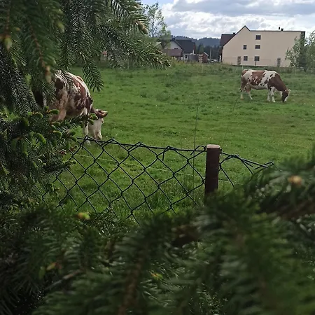 Między Górą A Rzeką Trybsz