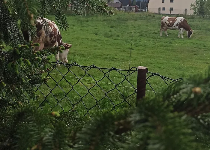 Miedzy Gora A Rzeka Trybsz